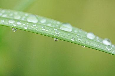 高能电玩节：《明末：渊虚之羽》18分钟实机演示